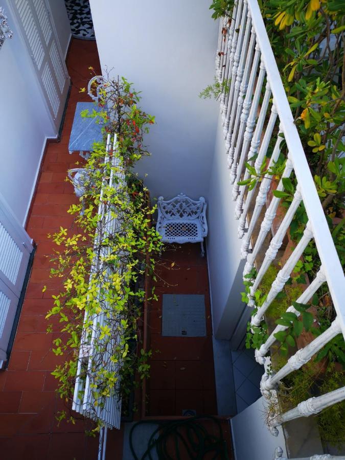 Pensión Muta House *