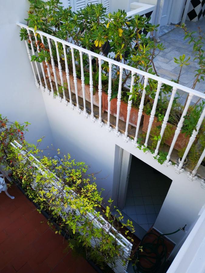 Pensión Muta House